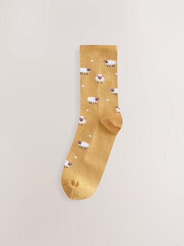 Next Socks in Mixed colours