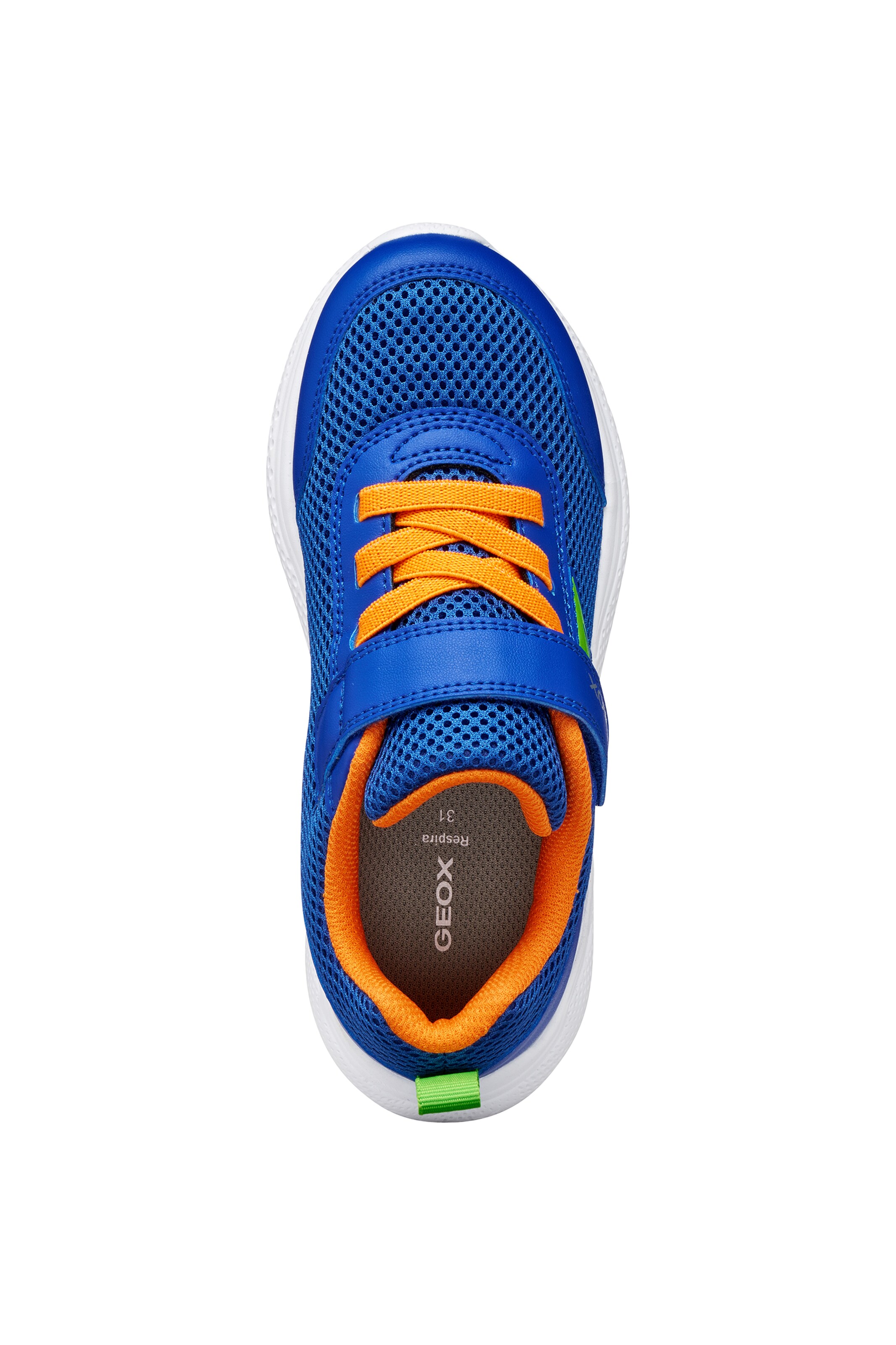 GEOX Sneakers in Blue