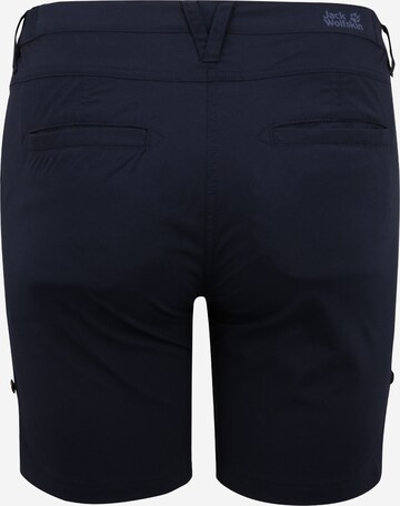 Regular Pantalon outdoor 'Dessert' JACK WOLFSKIN en bleu