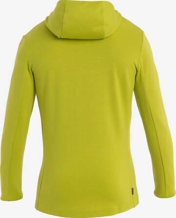 ICEBREAKER Bluza rozpinana sportowa 'Quantum' w kolorze zielony