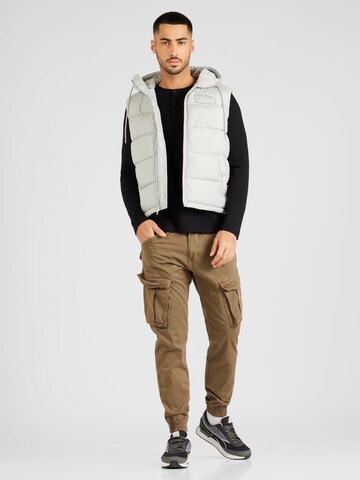 Gilet di ALPHA INDUSTRIES in grigio