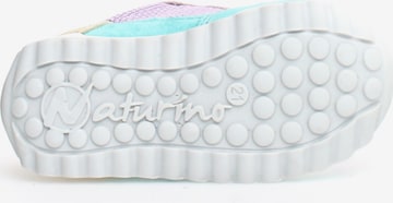 NATURINO Sneakers in Mixed colors