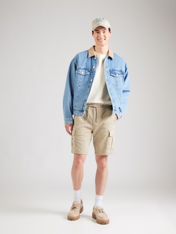 INDICODE JEANS Normalny krój Bojówki 'Bouillon' w kolorze szary