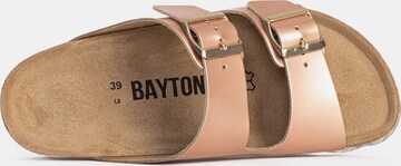 Bayton Mules 'Atlas' in Gold