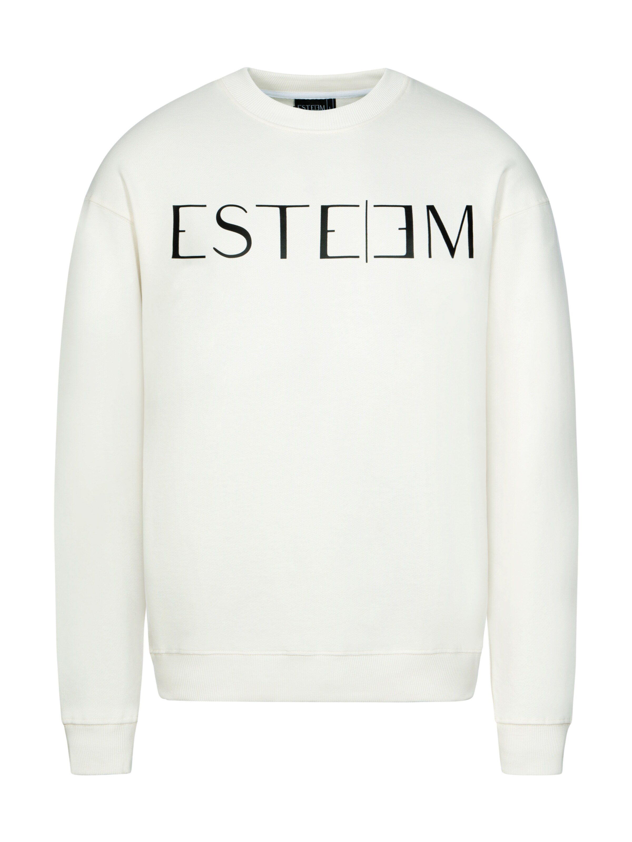 ESTEEM Sweatshirt i beige: forside