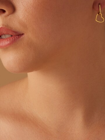 Boucles d'oreilles Lucardi en or