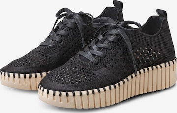 ILSE JACOBSEN Sneaker low 'Tulip' i sort: forside