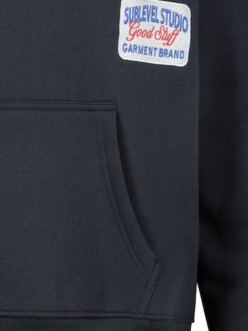 Sublevel Sweatshirt in Grau