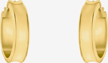 AMOR Earrings in Gold: front
