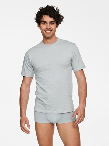 Henderson - Camiseta 'Leichtes Baumwoll-T-Shirt mit Rundhals, T-Line S' en gris