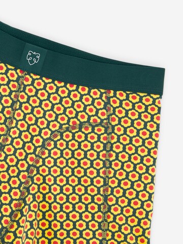 A-dam Boxer shorts in Yellow