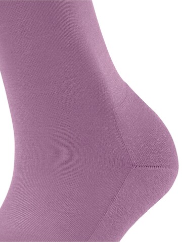 FALKE Socks 'ClimaWool' in Pink