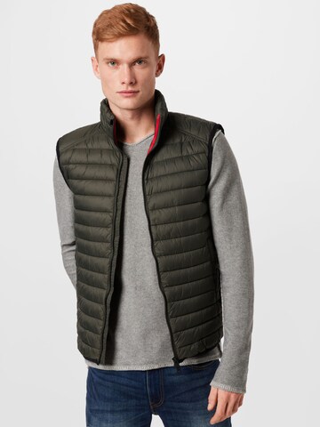 CINQUE Bodywarmer in Groen: voorkant