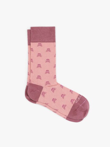 Scalpers Socken in Pink