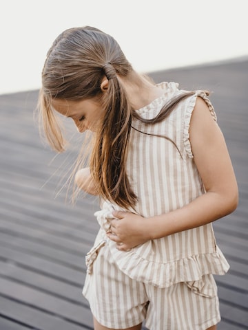 Regular Pantalon Peter Jo en marron