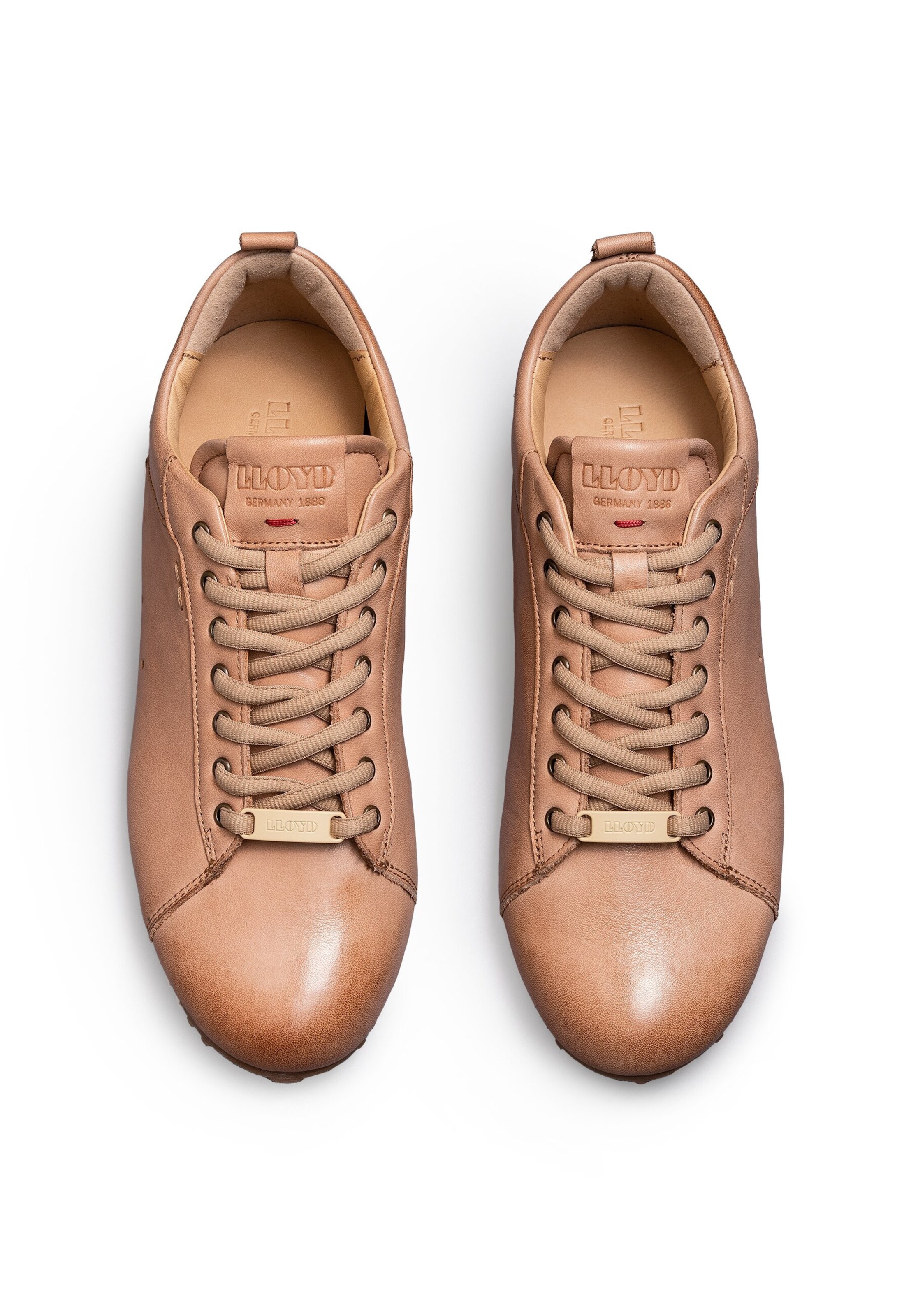 LLOYD Sneakers in Brown
