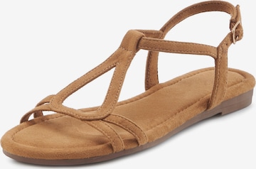 ruda VIVANCE Basutės su dirželiais: priekis