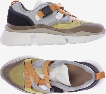Chloé Sneakers & Trainers in 37 in Mixed colors: front