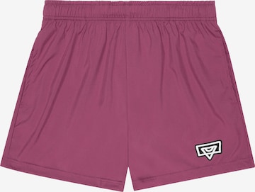 Bucketzregular Tehničke hlače 'New School' - roza boja: prednji dio