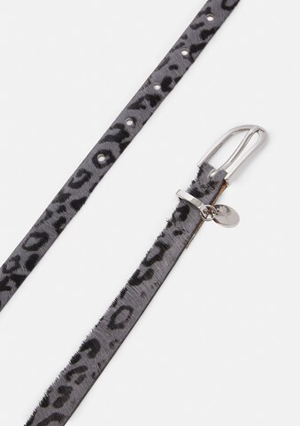 COMMA Belt in Grey