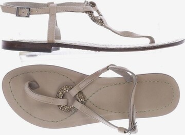 CINQUE Sandalen 39 in Beige: predná strana