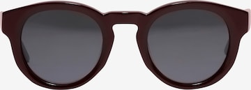 Pilgrim Sunglasses 'JANICA' in Brown