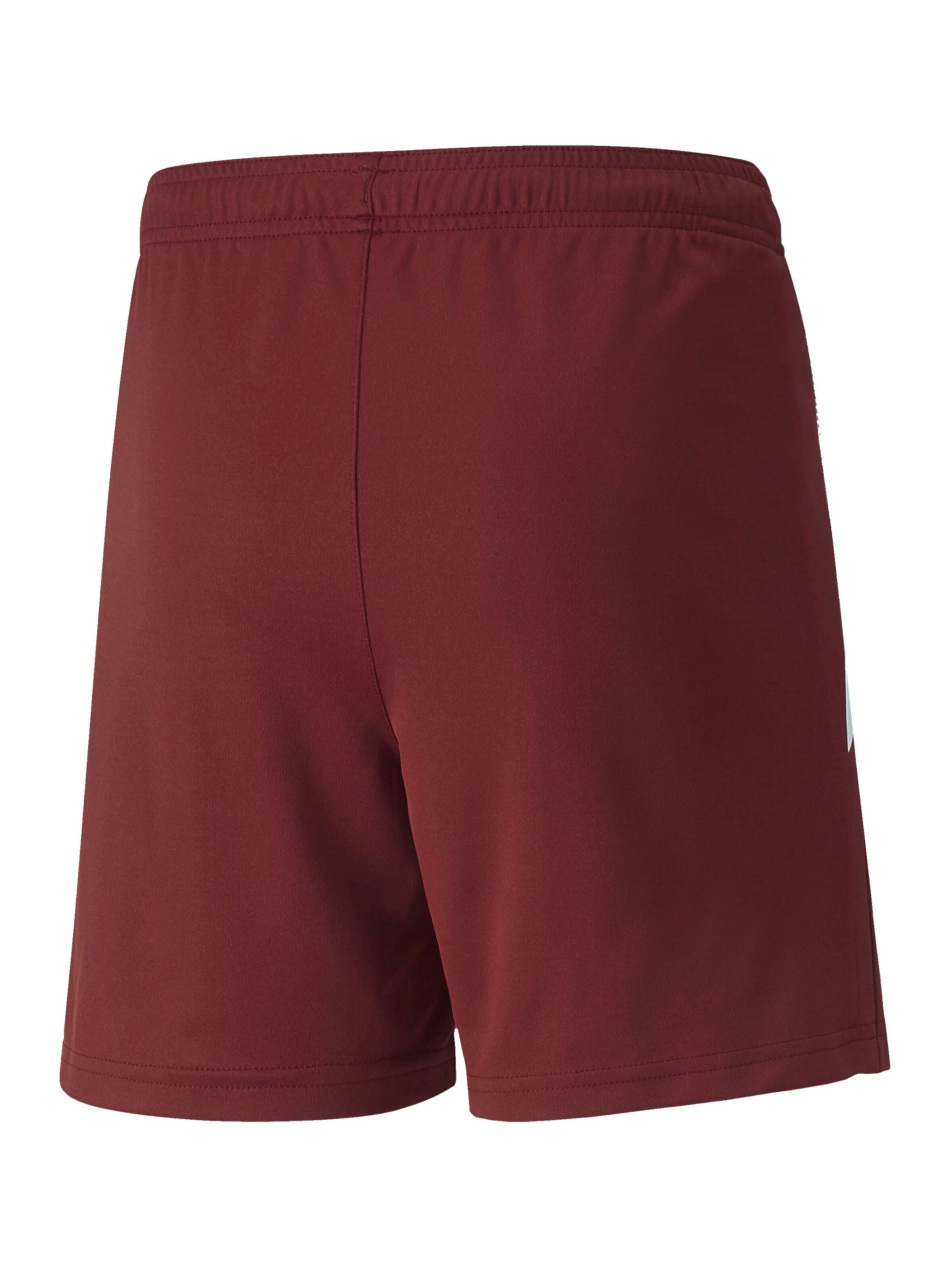 PUMA Regular Workout Pants 'TeamLiga' in Red