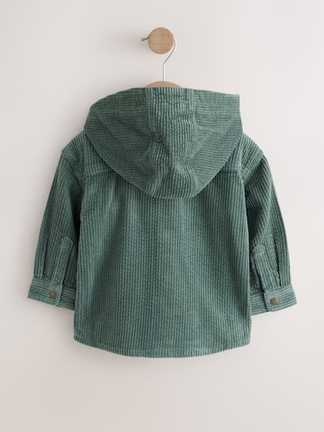 Next - Conjunto en verde