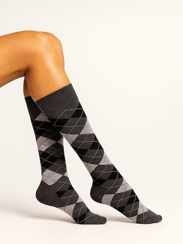 Lycille Knee High Socks in Grey