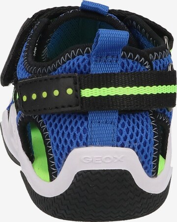 GEOX Open schoenen 'Wader' in Blauw