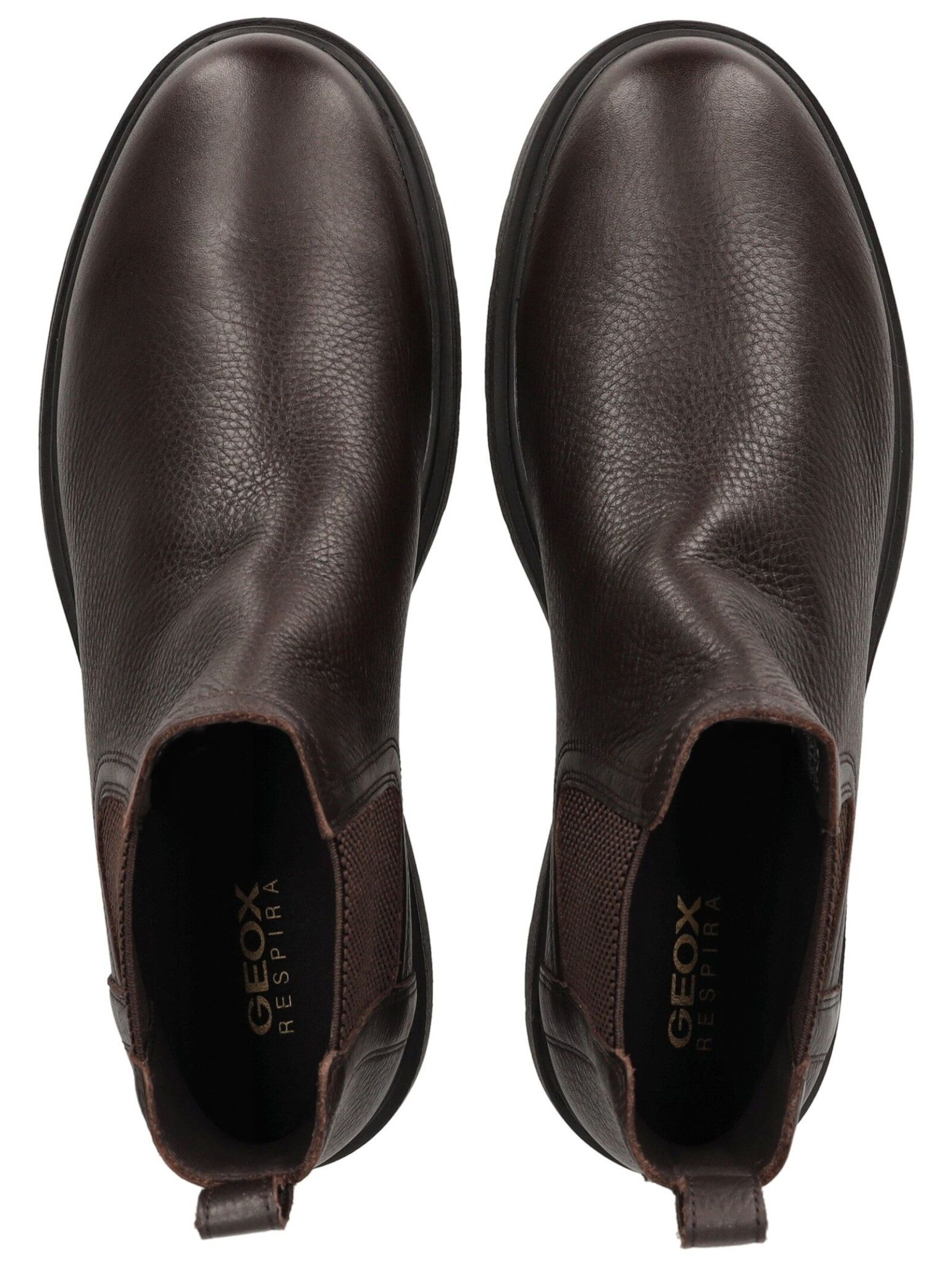 GEOX Laarzen in Bruin