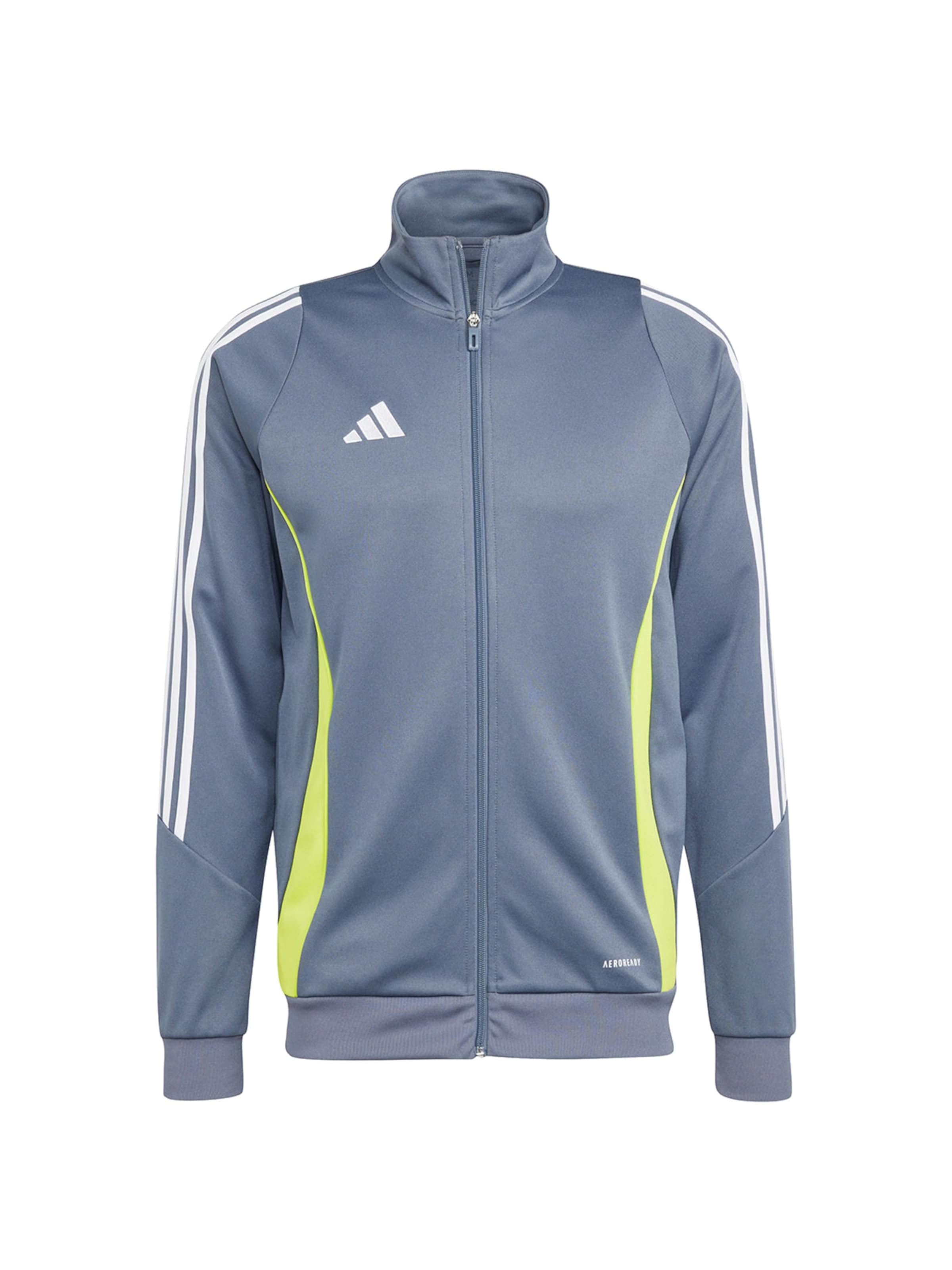 ADIDAS PERFORMANCE Sweatshirt 'Performance Tiro 2'‌‌‌‌ in XS in grau, Produktansicht