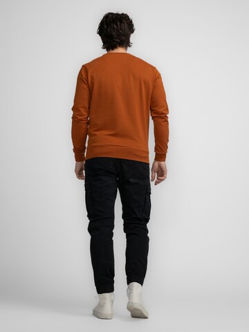 Petrol Industries Sweatshirt 'Unalakleet' in Braun