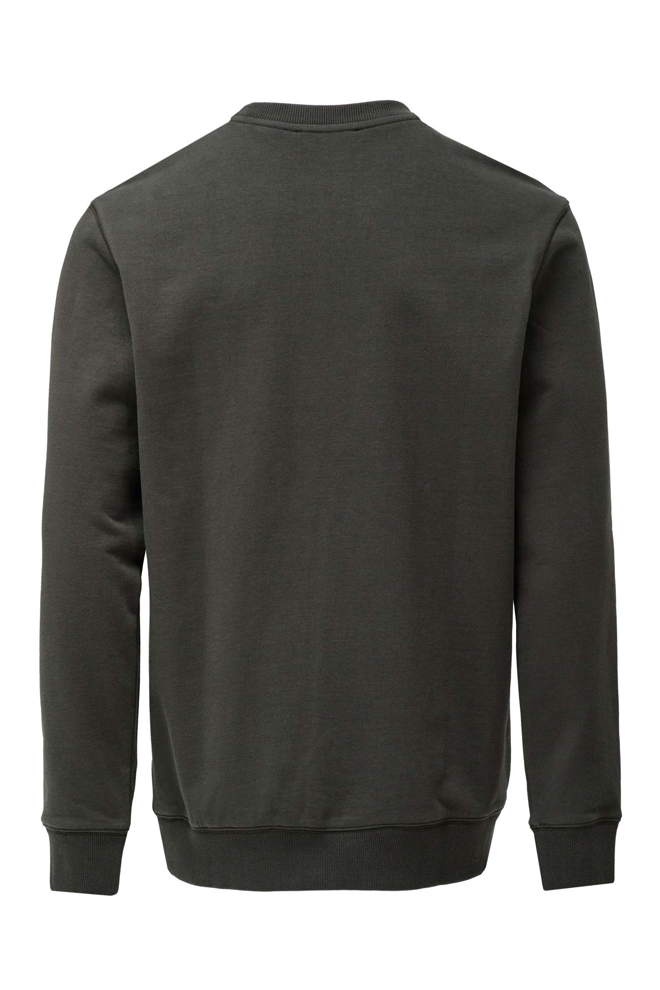 Salsa Jeans Sweatshirt in Groen