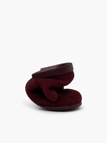 Chaussure basse Pisamonas en rouge