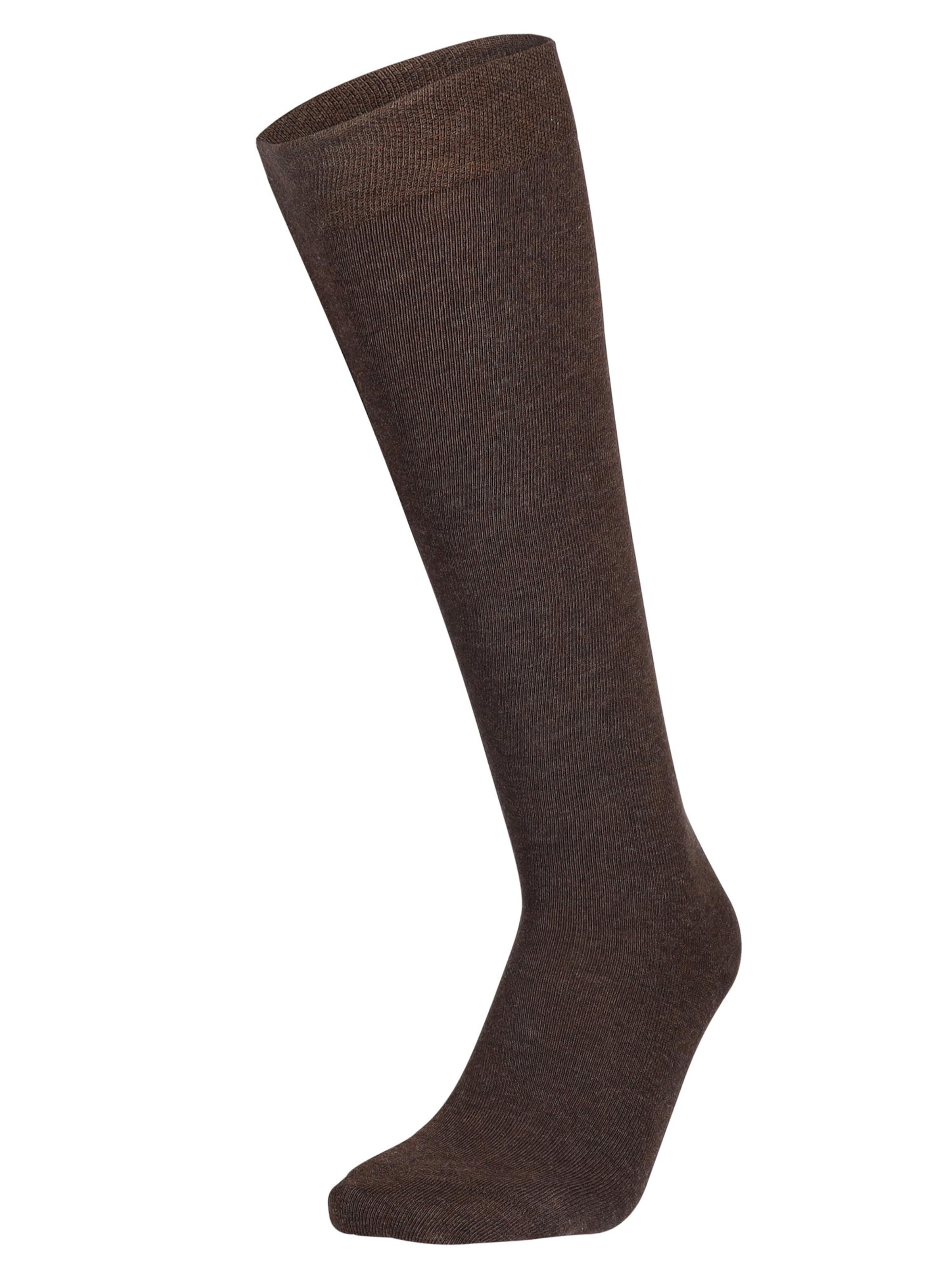 Chaussettes montantes Hudson en marron : devant