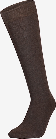 Chaussettes montantes Hudson en marron : devant