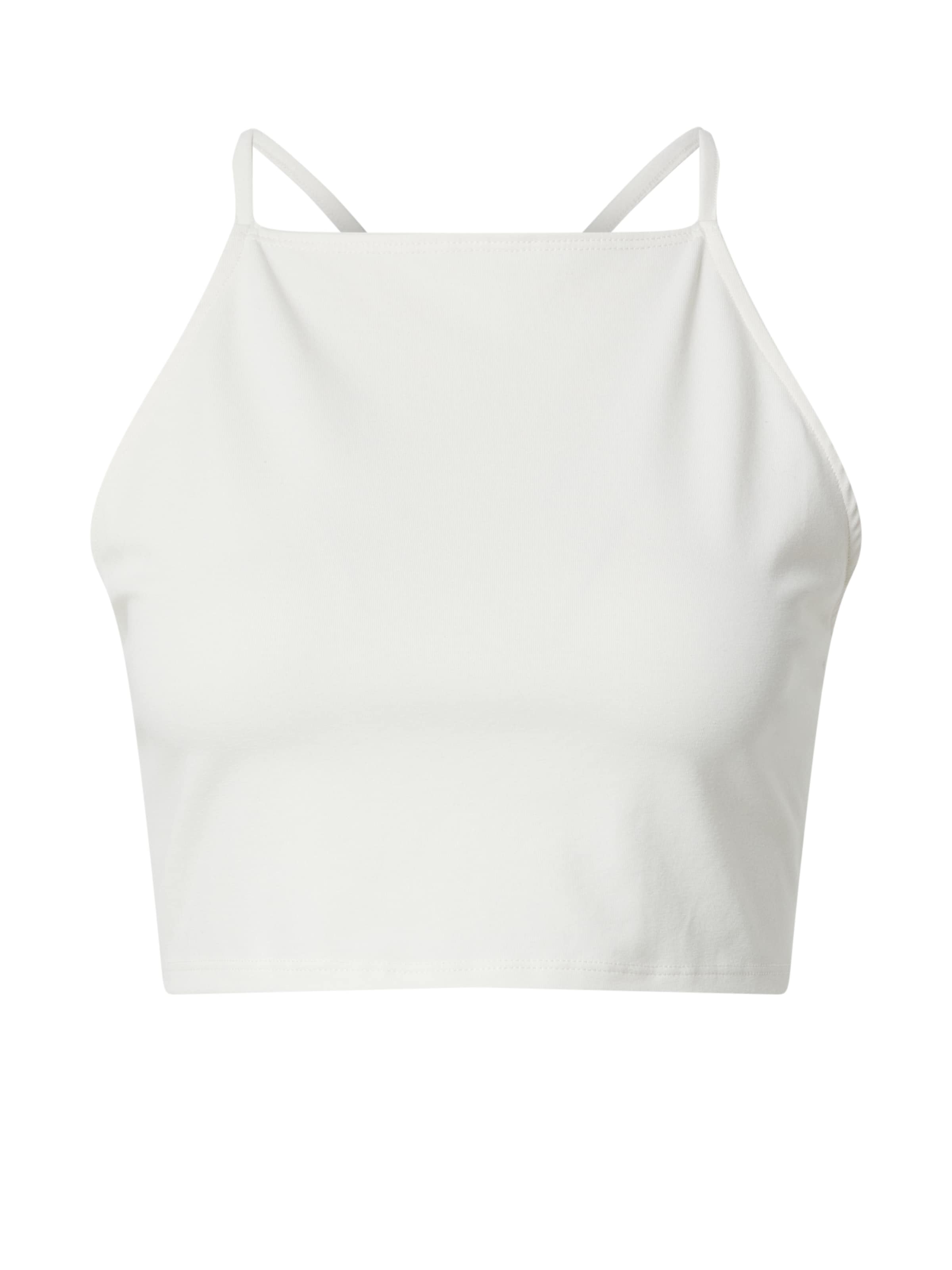 dzeltens EDITED Topiņš 'Begonia': no priekšpuses