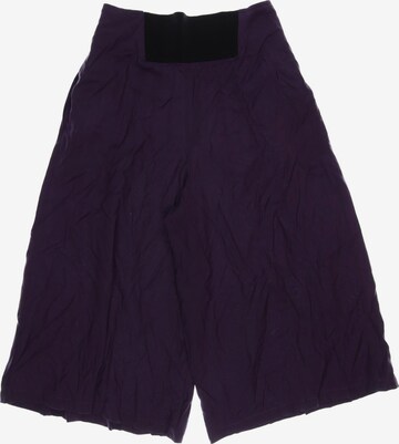 Lecomte Pants in L in Purple: front
