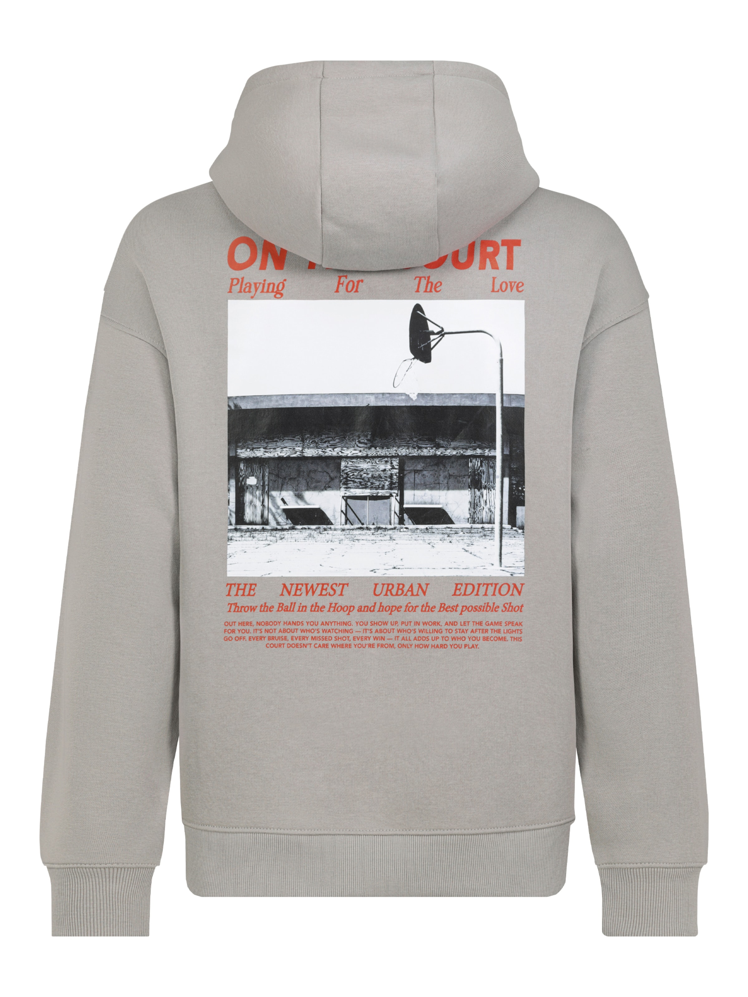 Sublevel Sweatshirt in Grau