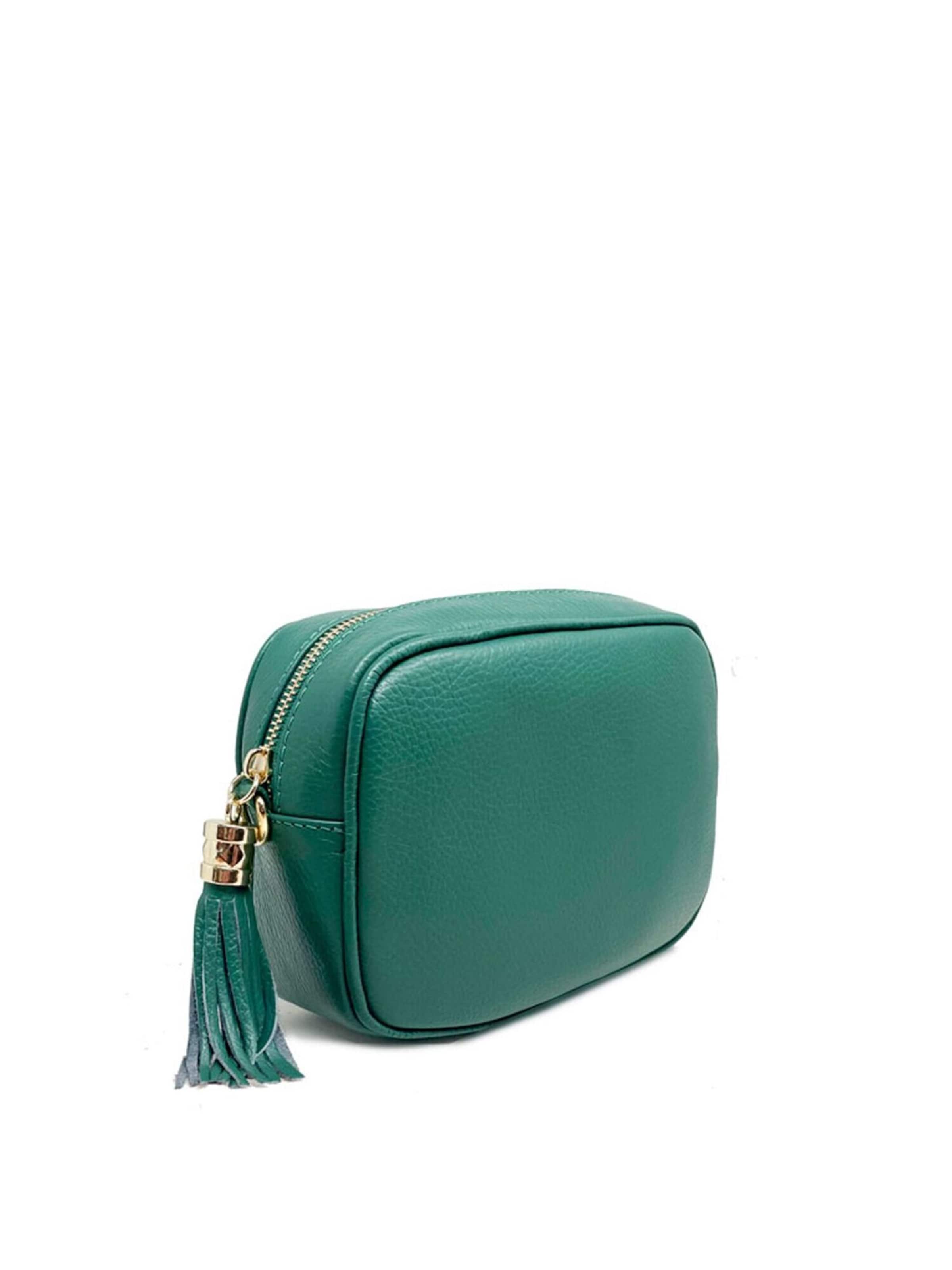 CHICCA BORSE Crossbody Bag in Green