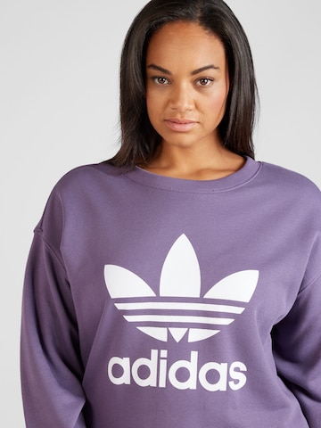 ADIDAS ORIGINALS Sweatshirt 'Trefoil' in Lila