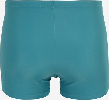 ADIDAS PERFORMANCE Športne kopalne hlače 'Branded ' | modra barva