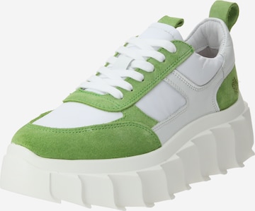 Sneaker bassa 'Blair' di Apple of Eden in verde: frontale