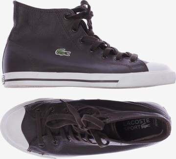 Lacoste Sport Sneakers & Trainers in 39 in Brown: front