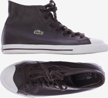 Lacoste Sport Sneaker 39 in Braun: predná strana