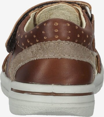 Pepino Sandals & Slippers 'KASPI' in Brown