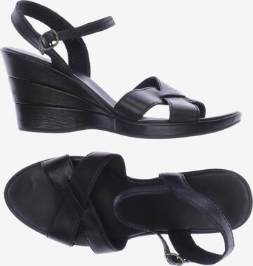 CLARKS Sandals & High-Heeled Sandals in 38,5 in Black: front