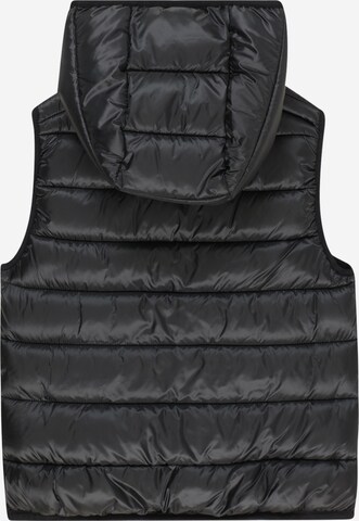 Gilet 'Legacy' Champion Authentic Athletic Apparel en noir