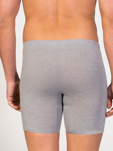 Boxers 'Cyclist Boxer' zd ZERO DEFECTS en gris